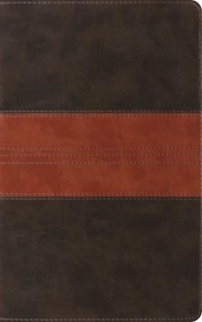 ESV Thinline Reference Bible, Leather / fine binding Book