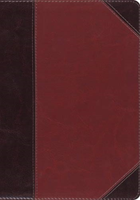 ESV MacArthur Study Bible, Large Print, Leather / fine binding Book
