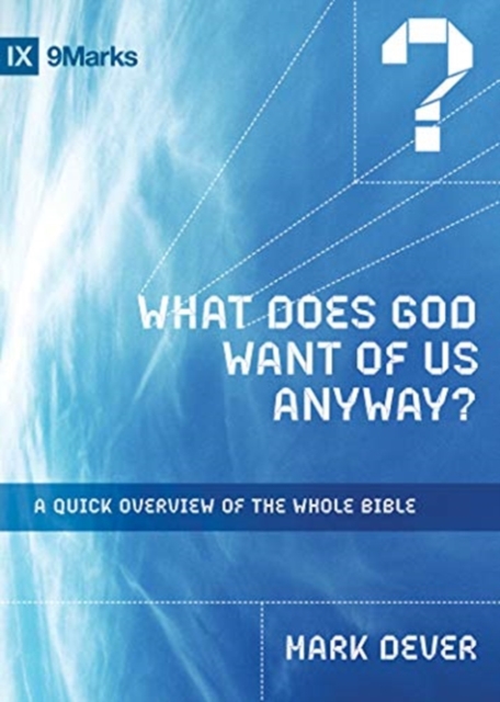What Does God Want of Us Anyway? : A Quick Overview of the Whole Bible, Paperback / softback Book