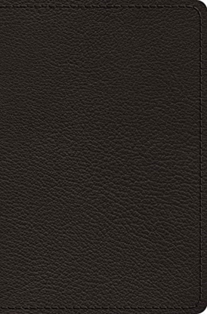 ESV Preaching Bible, Verse-by-Verse Edition, Leather / fine binding Book
