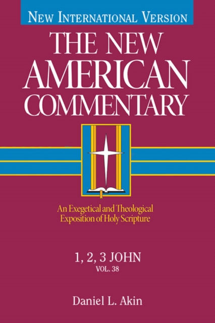 1,2,3 John : An Exegetical and Theological Exposition of Holy Scripture, EPUB eBook