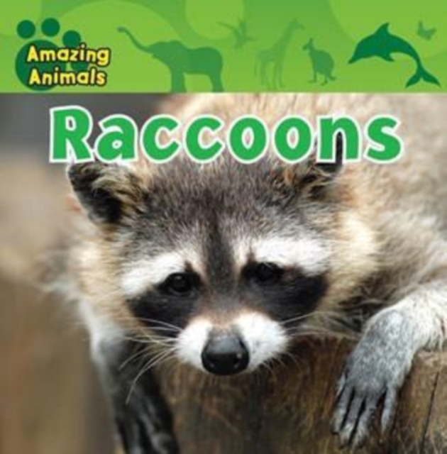 Raccoons, PDF eBook