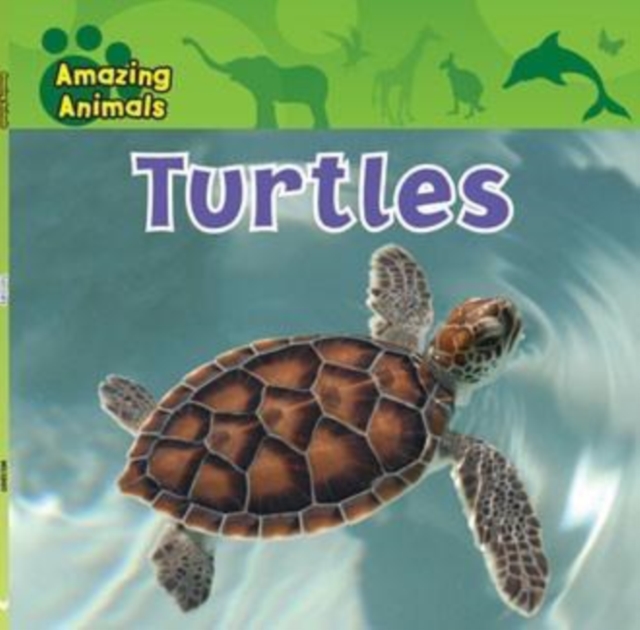 Turtles, PDF eBook