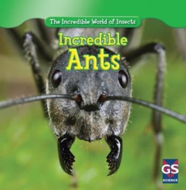 Incredible Ants, PDF eBook