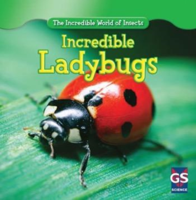 Incredible Ladybugs, PDF eBook