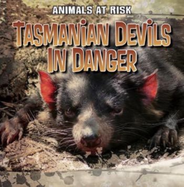 Tasmanian Devils in Danger, PDF eBook