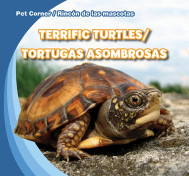 Terrific Turtles / Tortugas asombrosas, PDF eBook