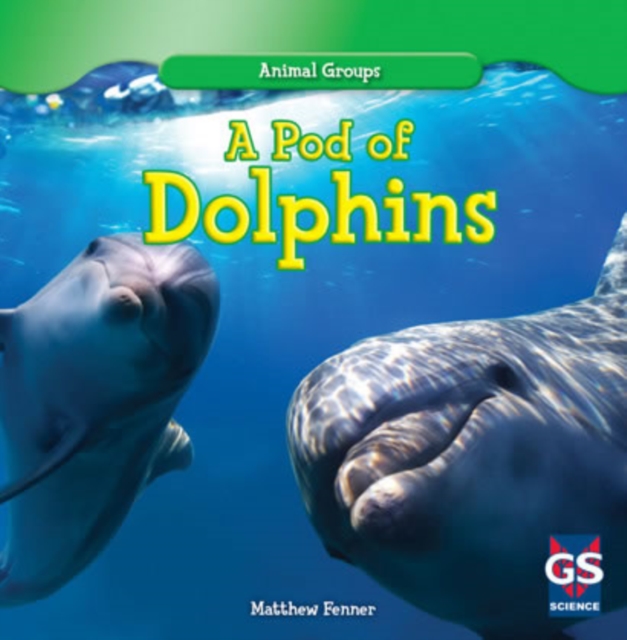 A Pod of Dolphins, PDF eBook