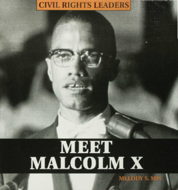 Meet Malcolm X, PDF eBook