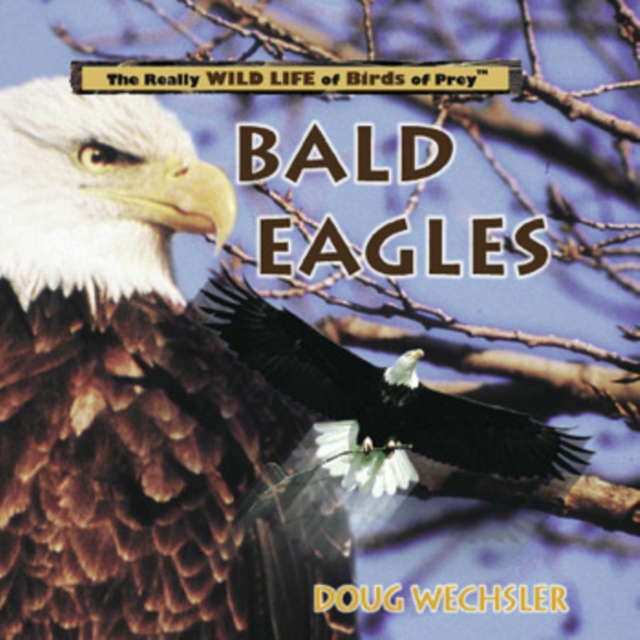 Bald Eagles, PDF eBook