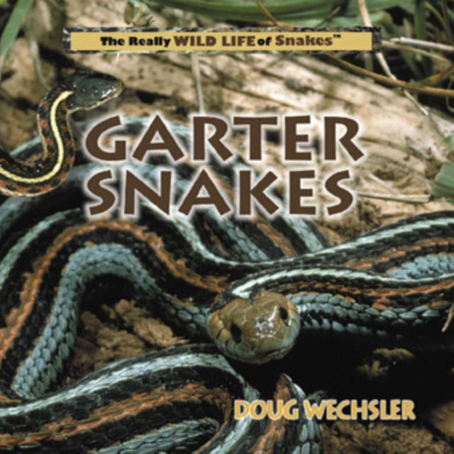 Garter Snakes, PDF eBook