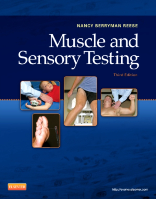 Muscle and Sensory Testing, Spiral bound Book