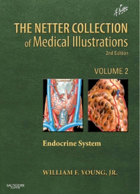 Netter Collection of Medical Illustrations: Endocrine System E-book : Netter Collection of Medical Illustrations: Endocrine System E-book, EPUB eBook
