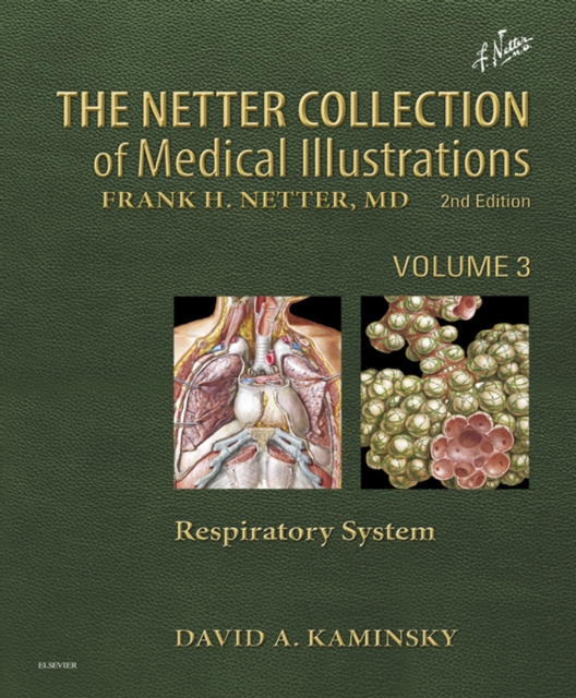 Netter Collection of Medical Illustrations: Respiratory System E-Book : Netter Collection of Medical Illustrations: Respiratory System E-Book, EPUB eBook