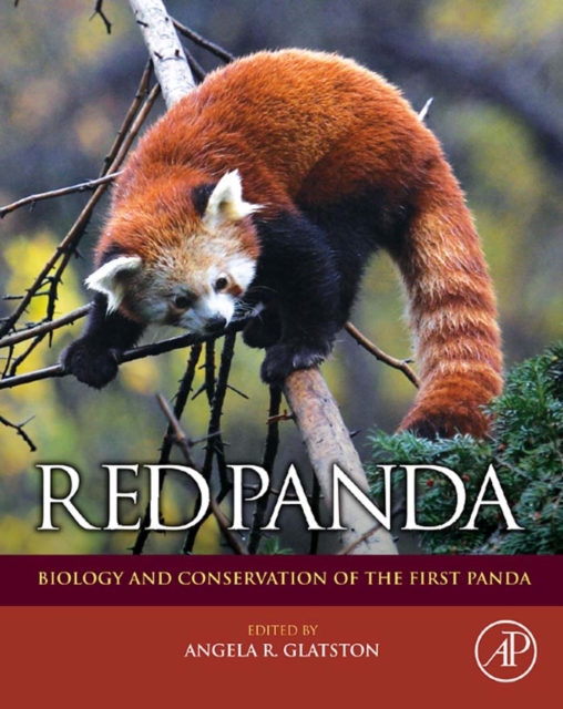 Red Panda : Biology and Conservation of the First Panda, EPUB eBook