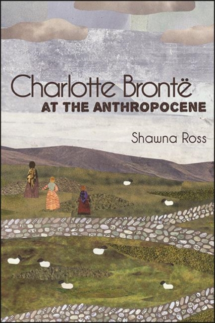 Charlotte Bronte at the Anthropocene, EPUB eBook