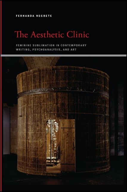 The Aesthetic Clinic : Feminine Sublimation in Contemporary Writing, Psychoanalysis, and Art, EPUB eBook