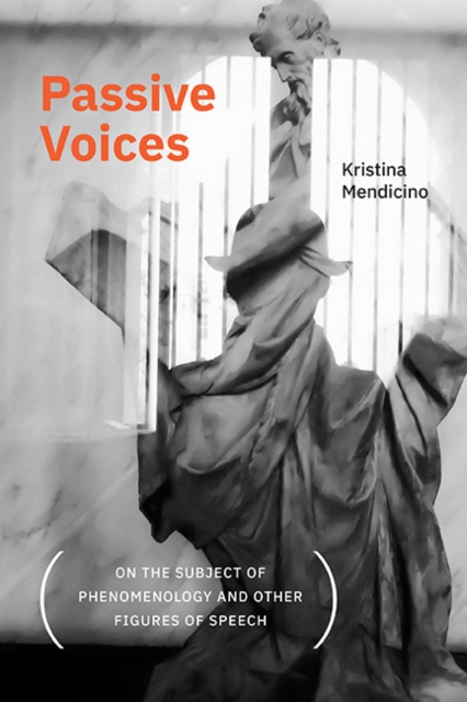 Passive Voices (On the Subject of Phenomenology and Other Figures of Speech), EPUB eBook