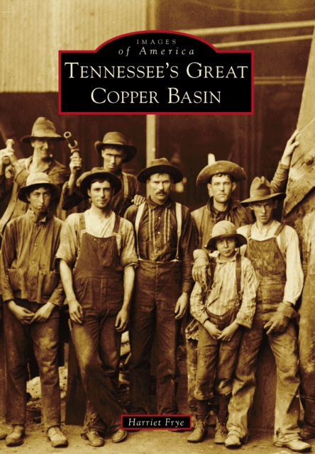 Tennessee's Great Copper Basin, EPUB eBook