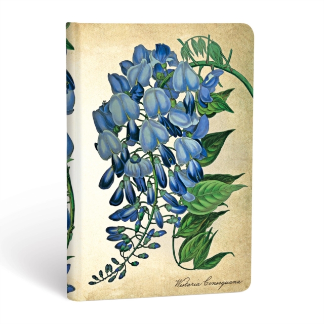 Blooming Wisteria Mini Lined Hardcover Journal, Hardback Book