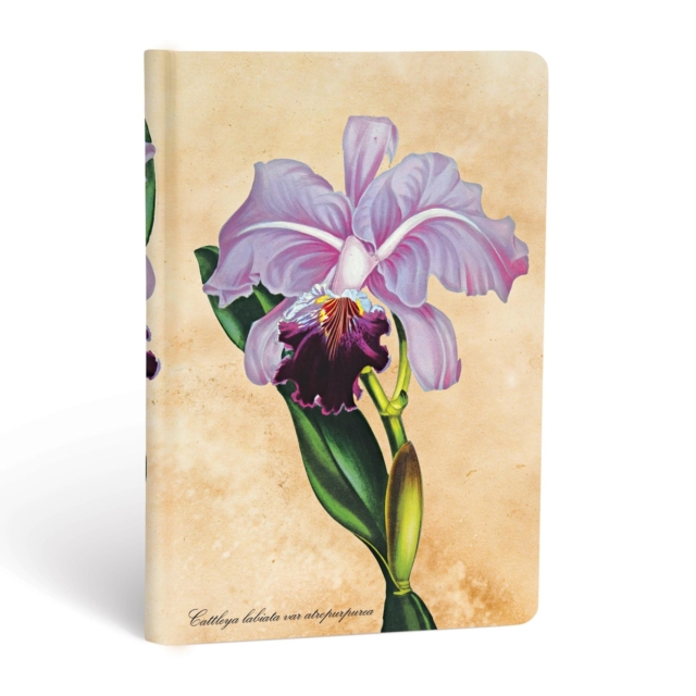 Brazilian Orchid Mini Unlined Hardcover Journal, Hardback Book