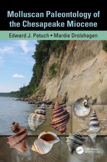 Molluscan Paleontology of the Chesapeake Miocene, Hardback Book