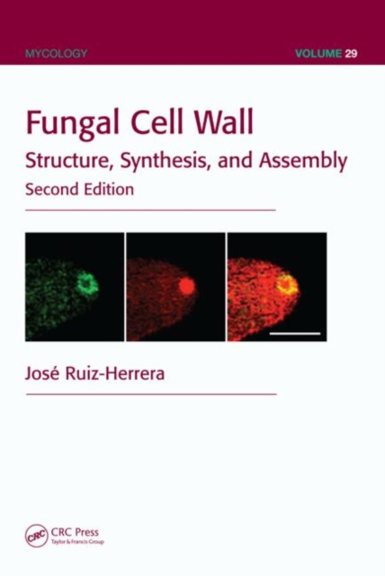 Fungal Cell Wall : Structure, Synthesis, and Assembly, Second Edition, Hardback Book