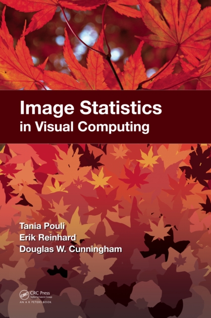 Image Statistics in Visual Computing, PDF eBook
