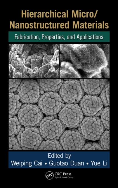 Hierarchical Micro/Nanostructured Materials : Fabrication, Properties, and Applications, PDF eBook