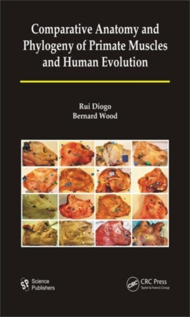 Comparative Anatomy and Phylogeny of Primate Muscles and Human Evolution, PDF eBook