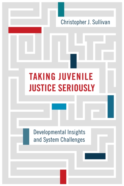 Taking Juvenile Justice Seriously : Developmental Insights and System Challenges, Hardback Book