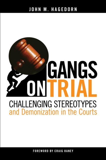 Gangs on Trial : Challenging Stereotypes and Demonization in the Courts, PDF eBook