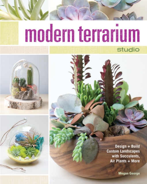 Modern Terrarium Studio : Design + Build Custom Landscapes with Succulents, Air Plants + More, Paperback / softback Book
