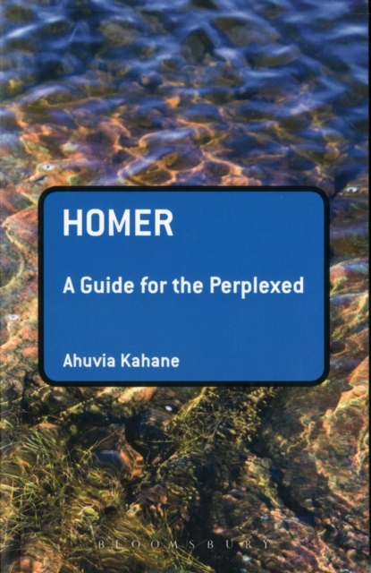 Homer: A Guide for the Perplexed, Paperback / softback Book