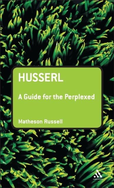 Husserl: A Guide for the Perplexed, PDF eBook