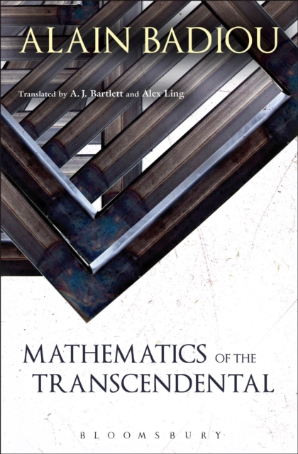 Mathematics of the Transcendental, EPUB eBook