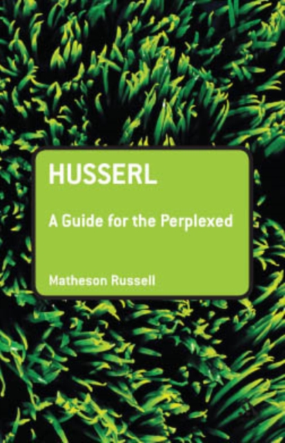 Husserl: A Guide for the Perplexed, PDF eBook