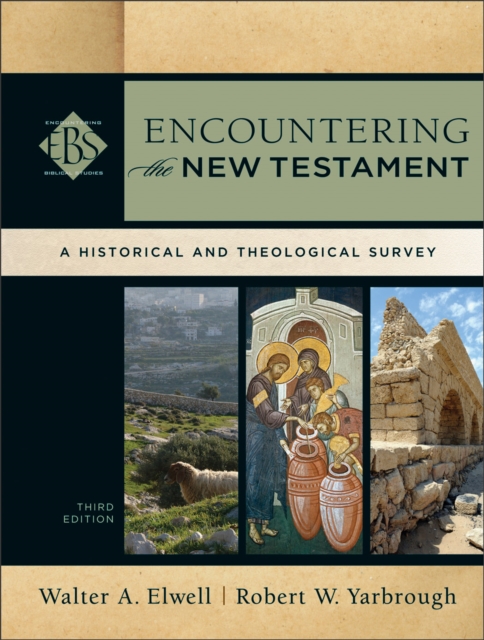 Encountering the New Testament (Encountering Biblical Studies) : A Historical and Theological Survey, EPUB eBook