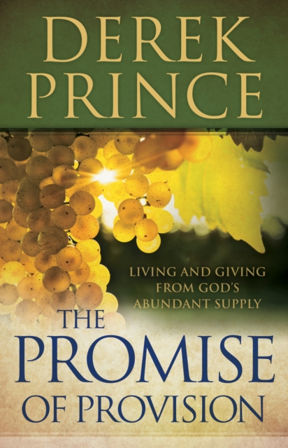 The Promise of Provision : Living and Giving from God's Abundant Supply, EPUB eBook