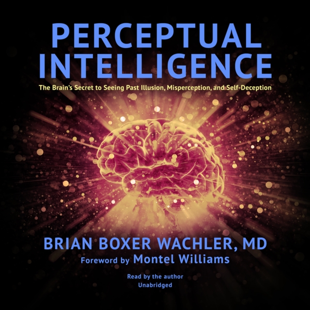 Perceptual Intelligence, eAudiobook MP3 eaudioBook