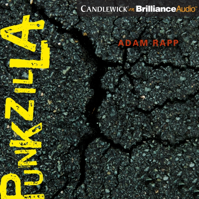 Punkzilla, eAudiobook MP3 eaudioBook
