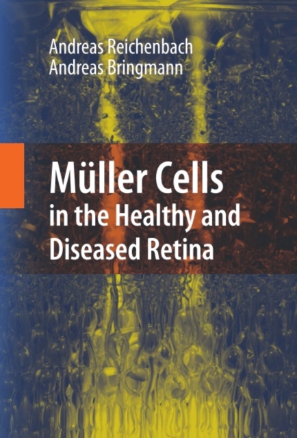 Muller Cells in the Healthy and Diseased Retina, PDF eBook