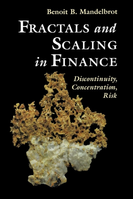 Fractals and Scaling in Finance : Discontinuity, Concentration, Risk. Selecta Volume E, Paperback / softback Book