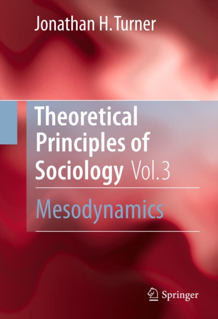 Theoretical Principles of Sociology, Volume 3 : Mesodynamics, PDF eBook