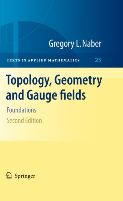 Topology, Geometry and Gauge fields : Foundations, PDF eBook