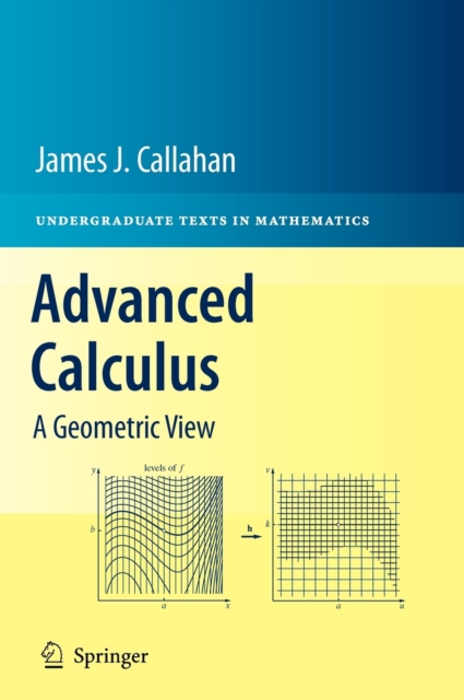 Advanced Calculus : A Geometric View, Hardback Book