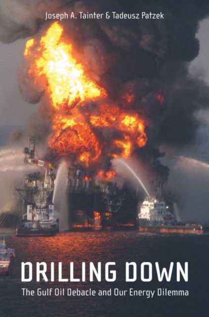 Drilling Down : The Gulf Oil Debacle and Our Energy Dilemma, Paperback / softback Book