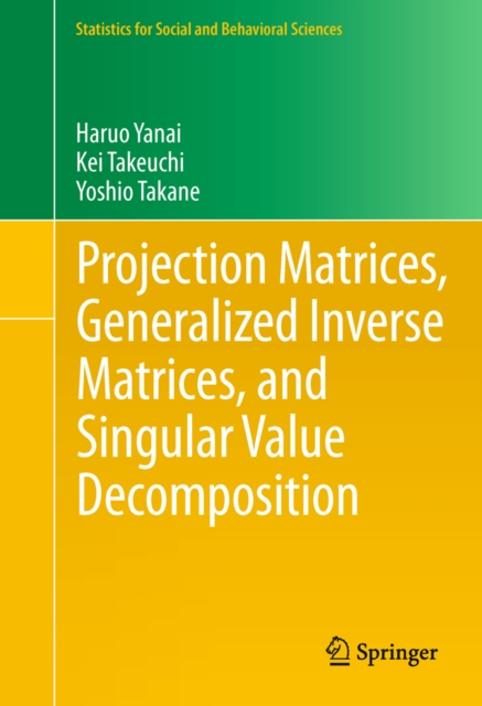 Projection Matrices, Generalized Inverse Matrices, and Singular Value Decomposition, PDF eBook