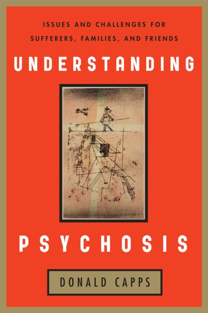 Understanding Psychosis : Issues, Treatments, and Challenges for Sufferers and Their Families, Hardback Book