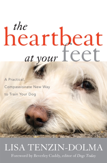 The Heartbeat at Your Feet : A Practical, Compassionate New Way to Train Your Dog, Hardback Book